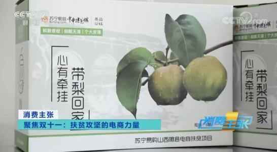互聯網電商成脫貧快車，央視點贊蘇寧助力玉露香梨產業發展