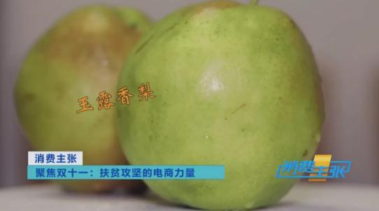 互聯網電商成脫貧快車，央視點贊蘇寧助力玉露香梨產業發展