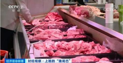 豬肉價格反彈，1頭豬利潤＝2瓶茅臺酒？