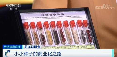 中國糧，用中國種！