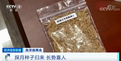 中國糧，用中國種！
