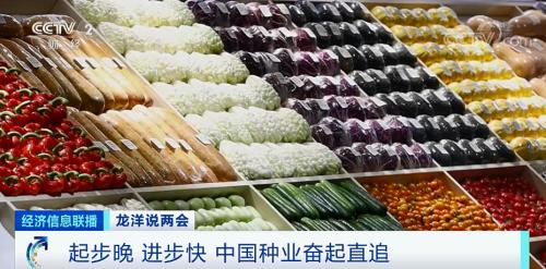 中國糧，用中國種！