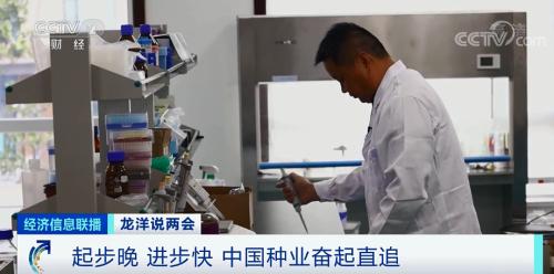 中國糧，用中國種！