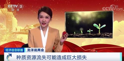 中國糧，用中國種！