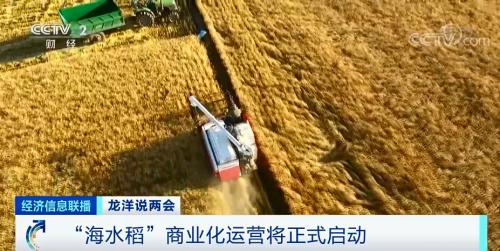 中國糧，用中國種！