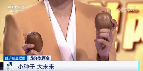 中國糧，用中國種！