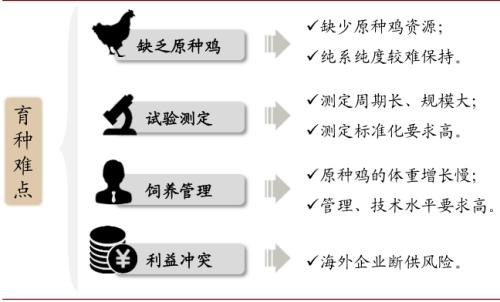 中金 | 糧食安全：糧安天下，創(chuàng)新護(hù)航長(zhǎng)期發(fā)展